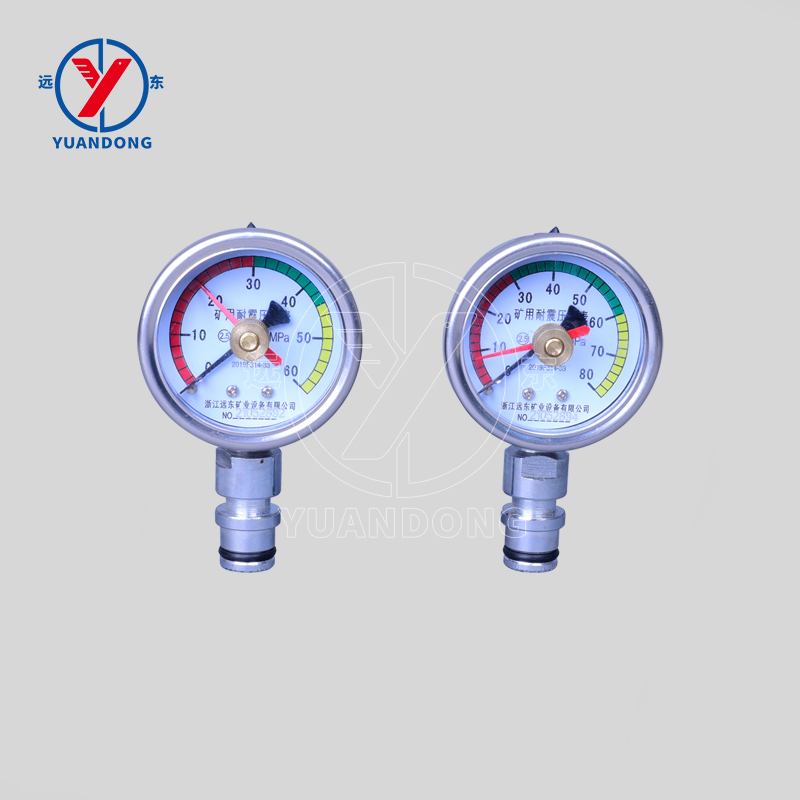 Mining double needle shock proof pressure gauge